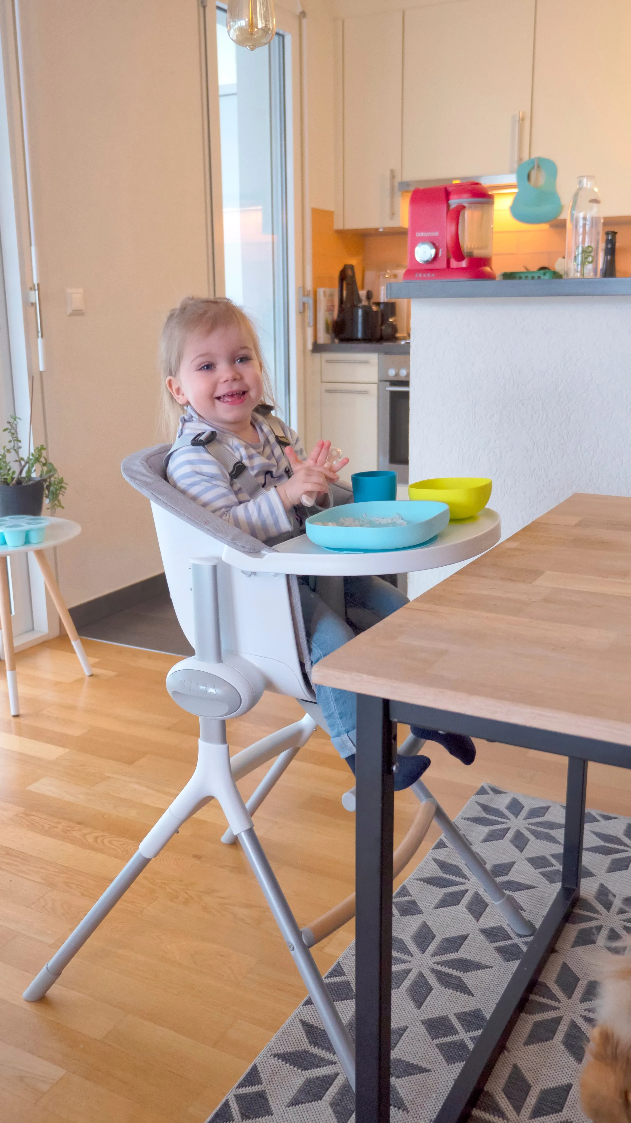 Beaba Up & Down Highchair