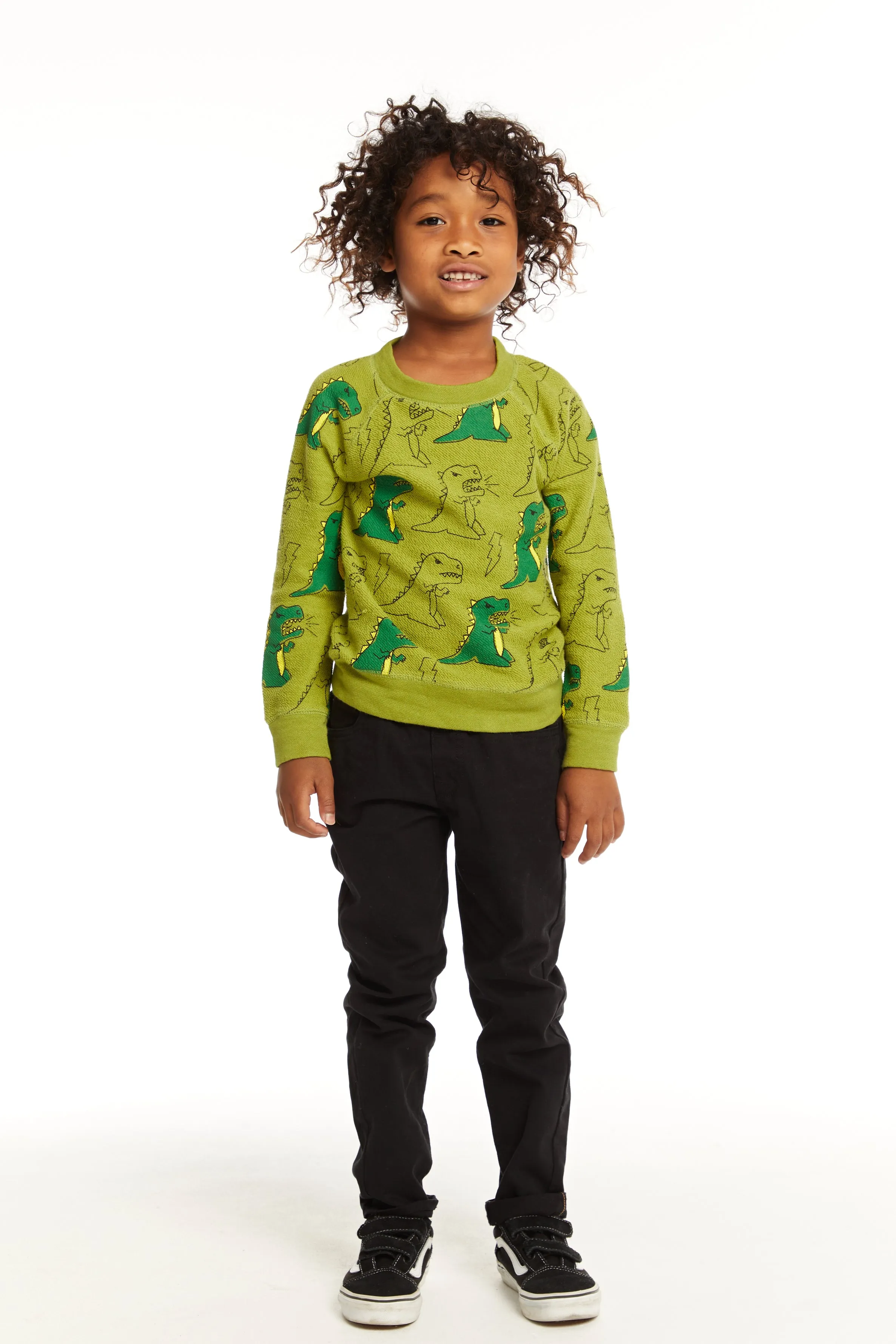 Chaser Dinos Green Pullover