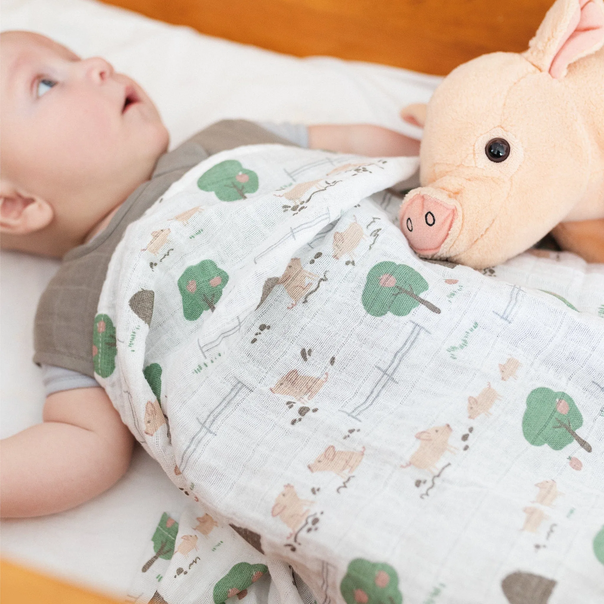 Cotton muslin swaddle - Piglets