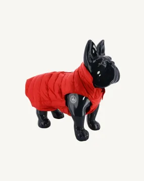 Fire red Dogs down jacket Woop