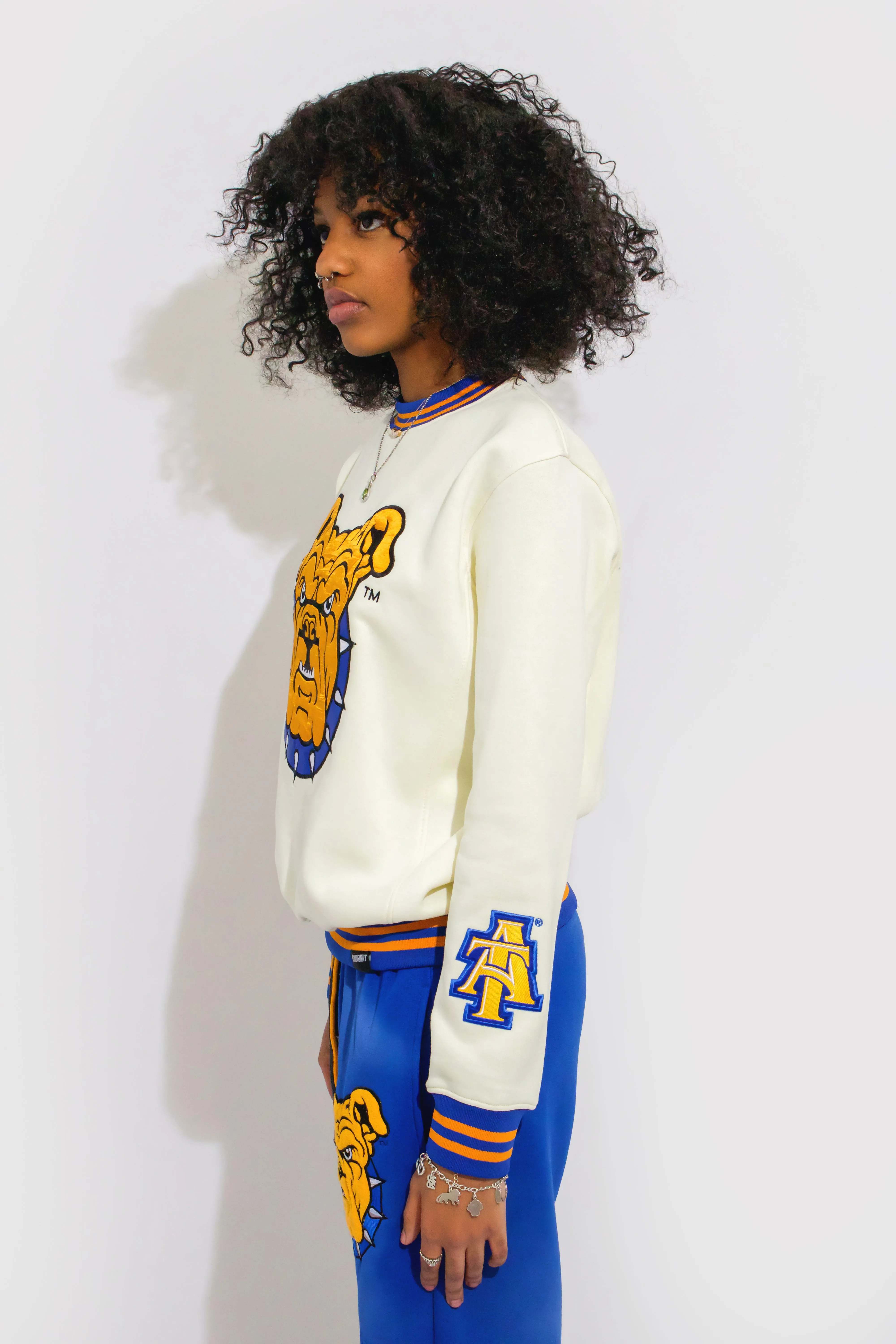 NC A&T Sweatshirt